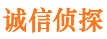 云安市侦探公司